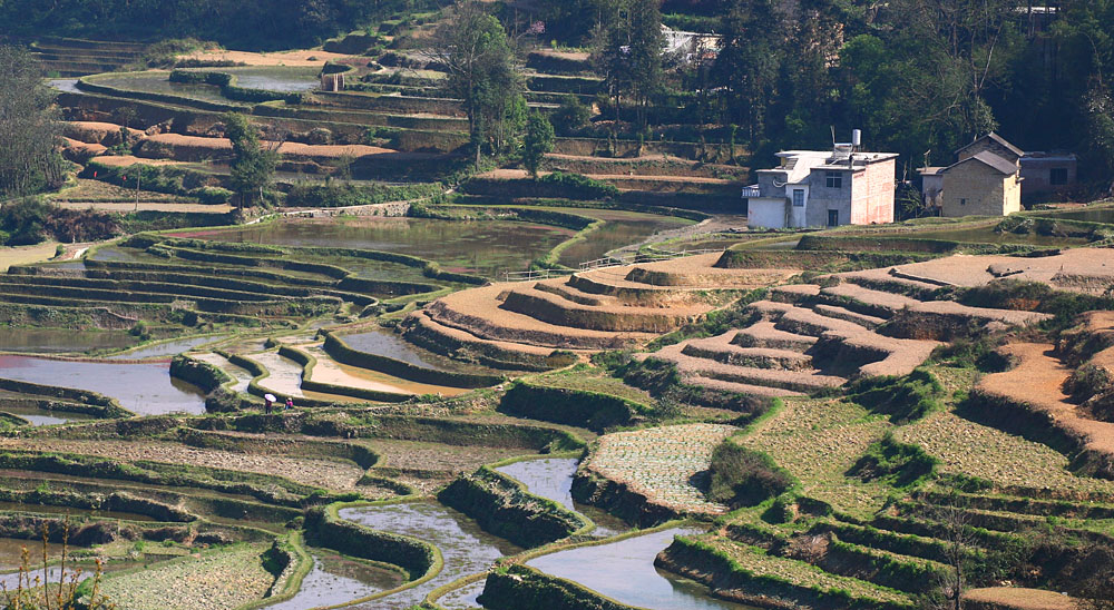 云南梯田