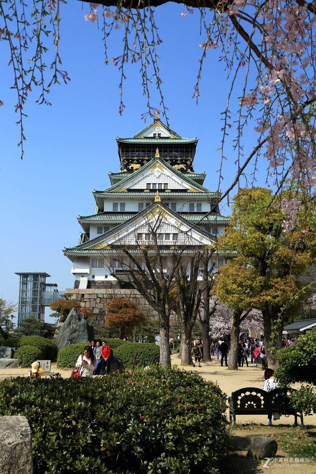 日本游览拍摄大阪城风光