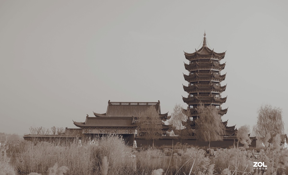 努力学习拍摄中