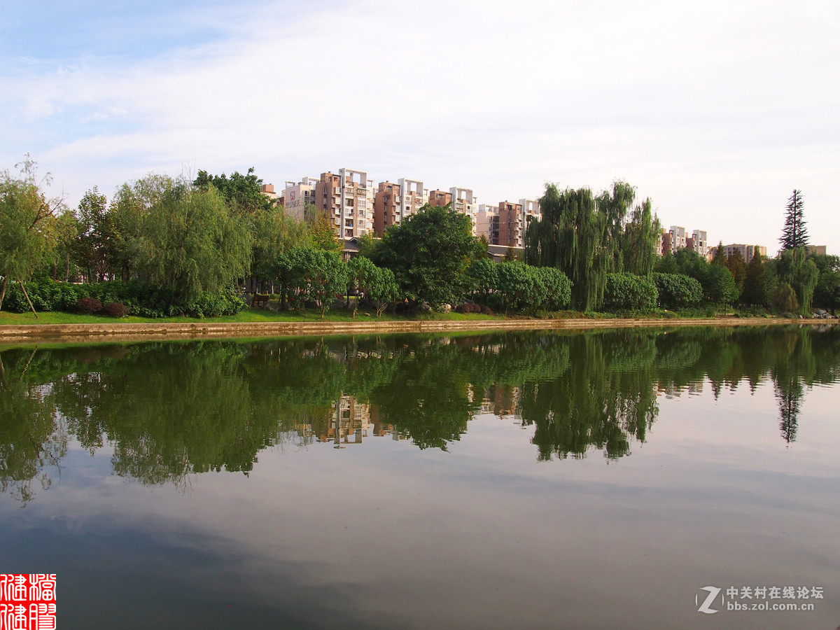 白河公園倒影景色