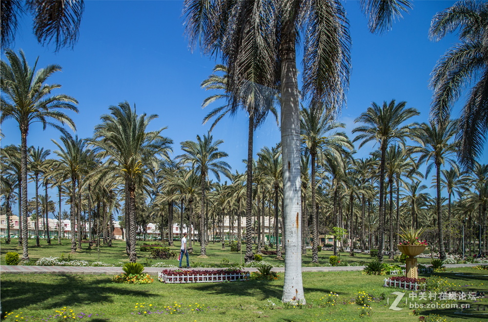 亚历山大（埃及）夏宫