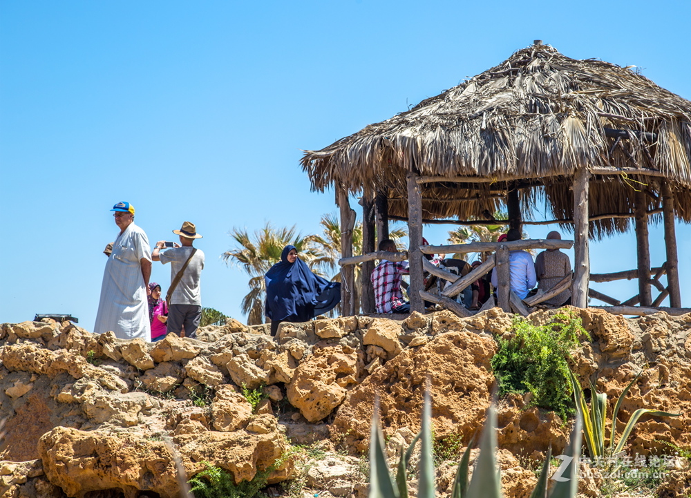 亚历山大（埃及）夏宫