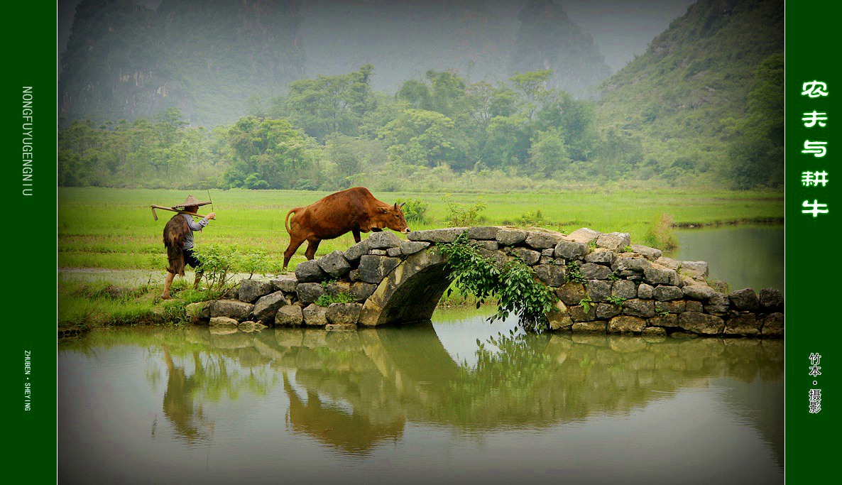 农夫与耕牛1