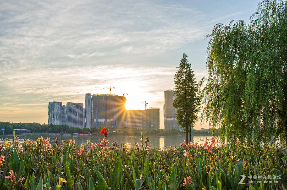 乐从新城随拍 -- D700  35 1.8ED试镜