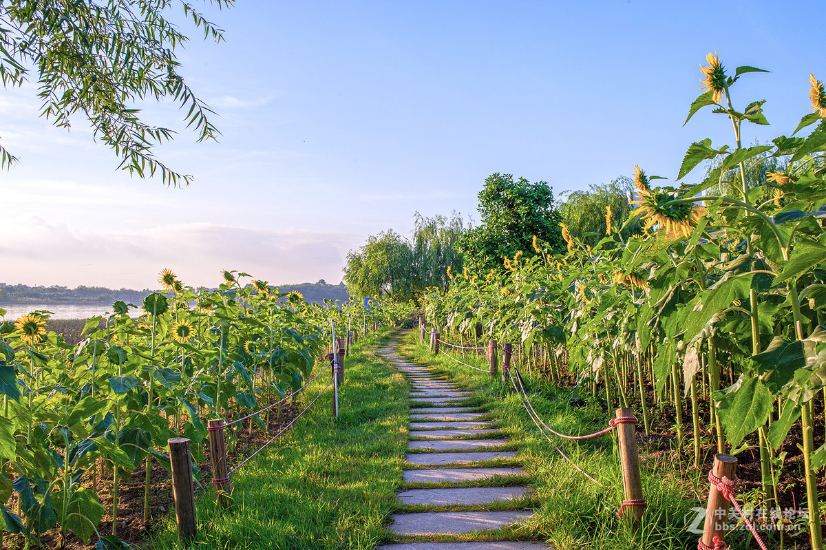 乐从新城随拍 -- D700  35 1.8ED试镜