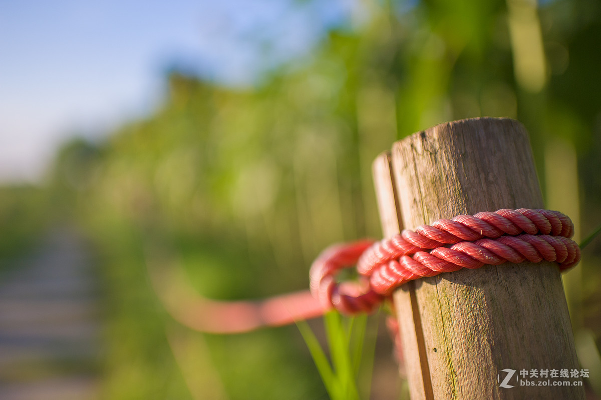 乐从新城随拍 -- D700  35 1.8ED试镜