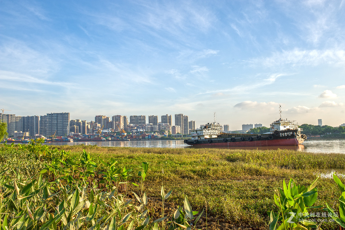 乐从新城随拍 -- D700  35 1.8ED试镜