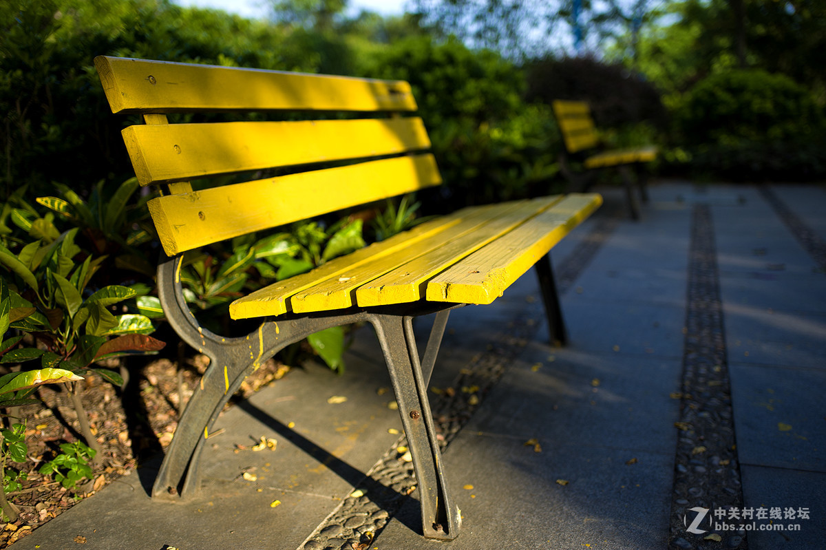 乐从新城随拍 -- D700  35 1.8ED试镜