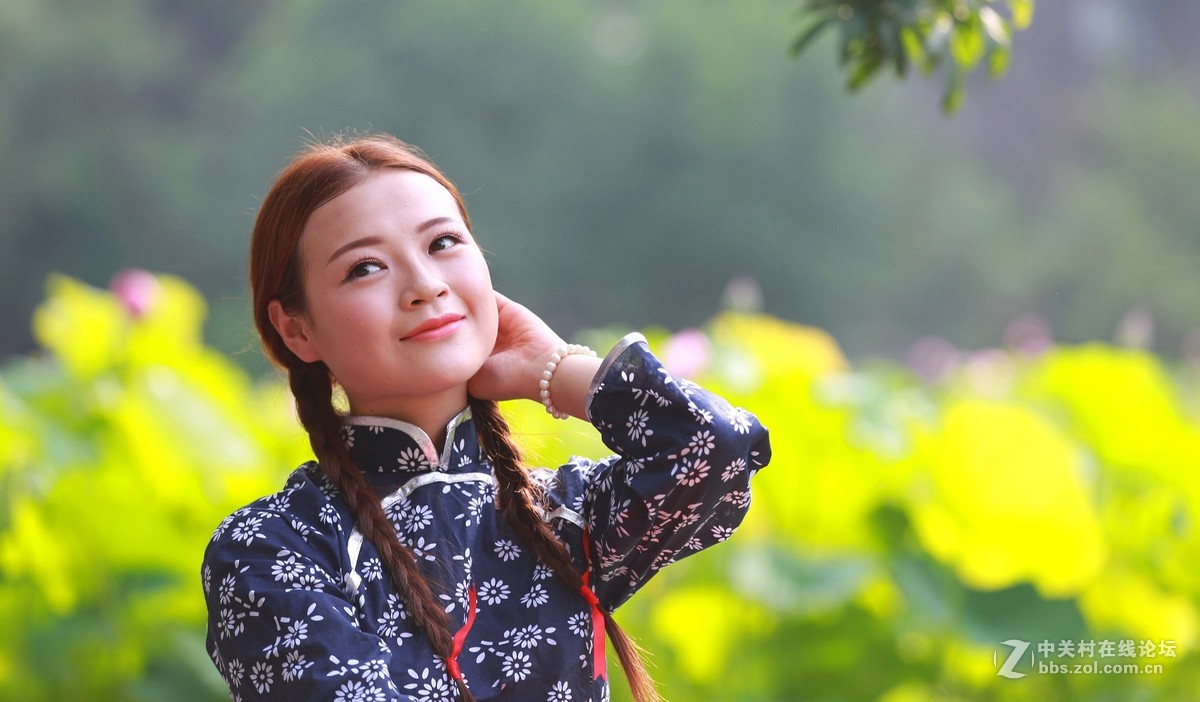 六月夏荷开花季