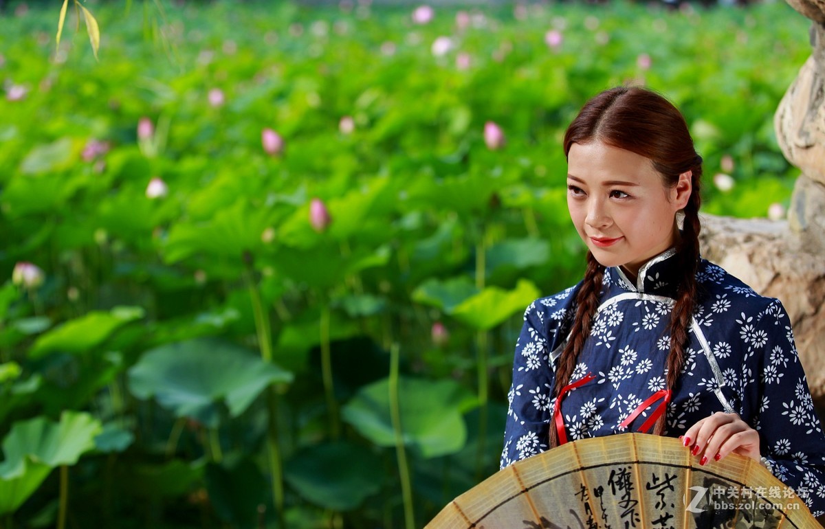 六月夏荷开花季