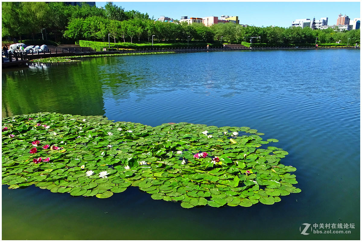 ｛南湖6月9｝——乌鲁木齐