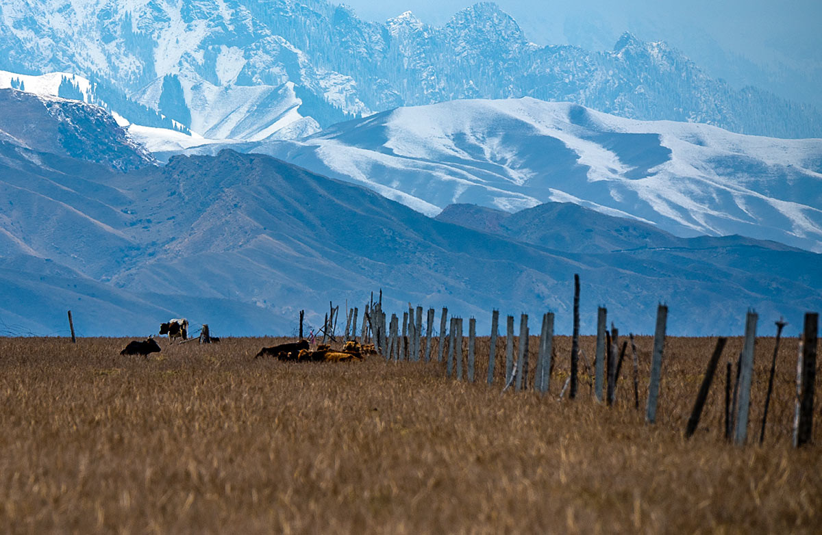 雄奇壮伟之红山大峡谷