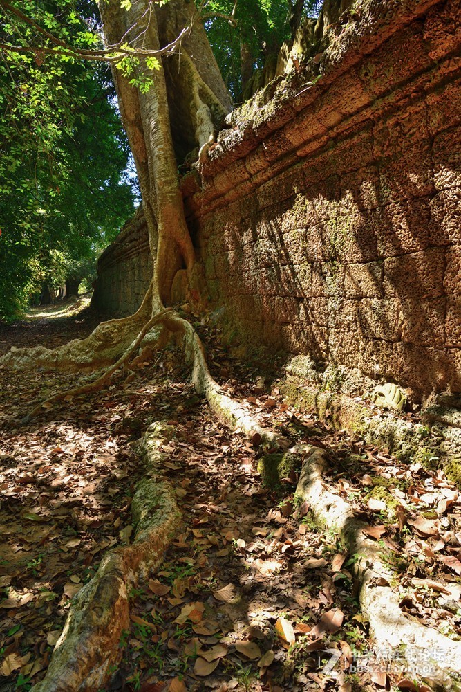 柬埔寨吴哥古城探秘之圣剑寺