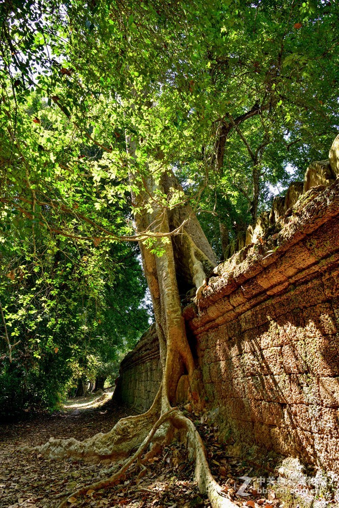 柬埔寨吴哥古城探秘之圣剑寺