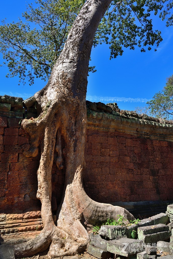 柬埔寨吴哥古城探秘之圣剑寺