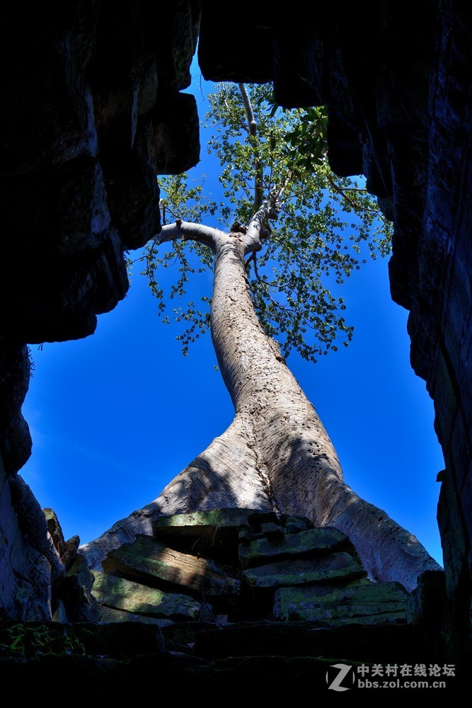 柬埔寨吴哥古城探秘之圣剑寺