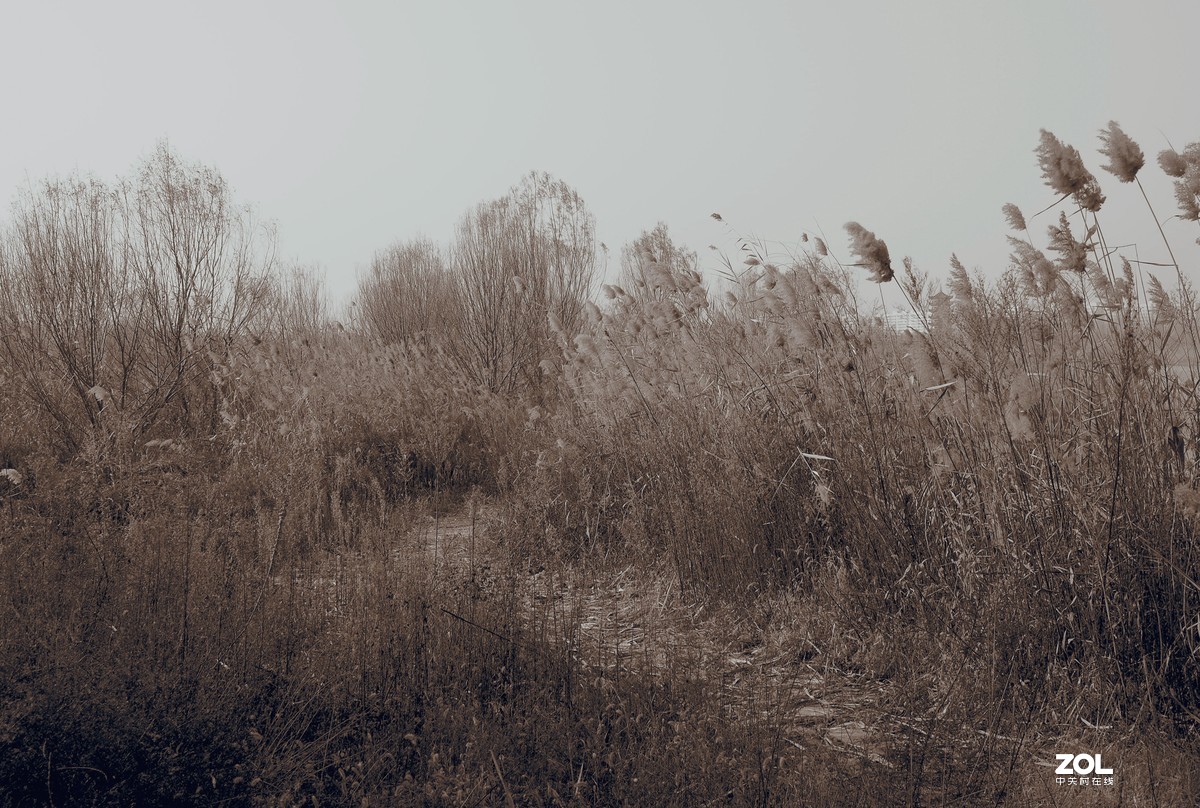 努力学习拍摄中