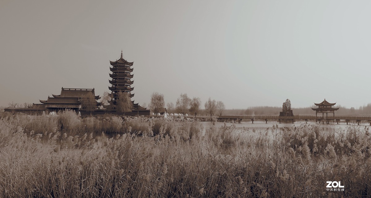 努力学习拍摄中