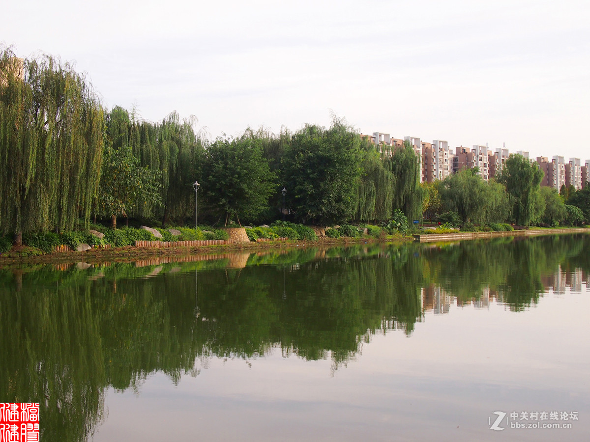 白河公園倒影景色