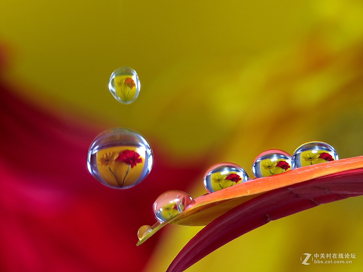 动静结合水滴映像