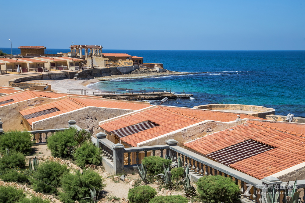 亚历山大（埃及）夏宫