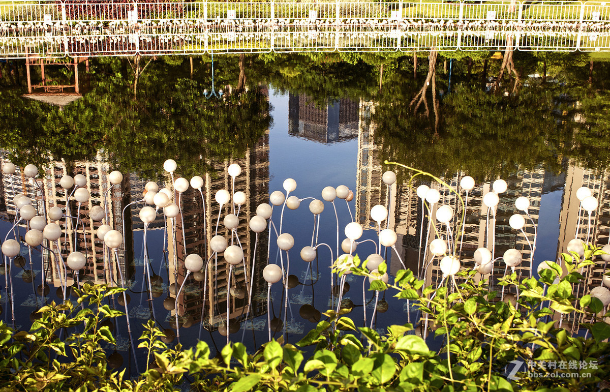 乐从新城随拍 -- D700  35 1.8ED试镜