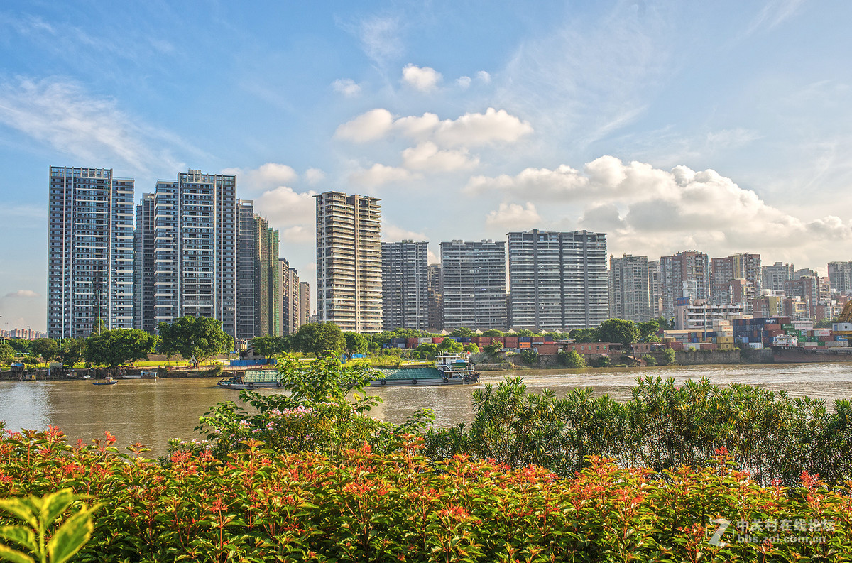 乐从新城随拍 -- D700  35 1.8ED试镜