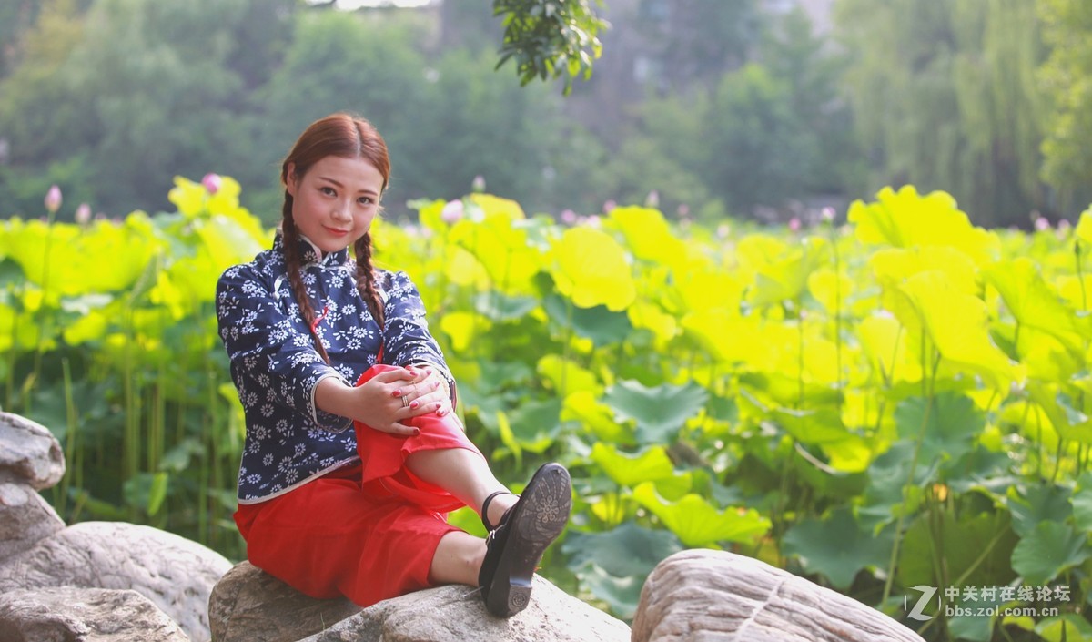 六月夏荷开花季