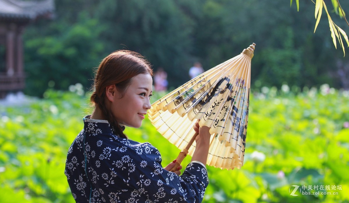 六月夏荷开花季