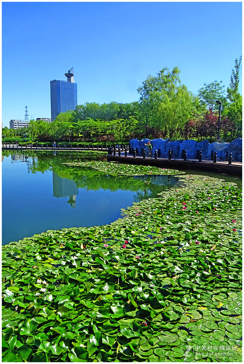 ｛南湖6月9｝——乌鲁木齐