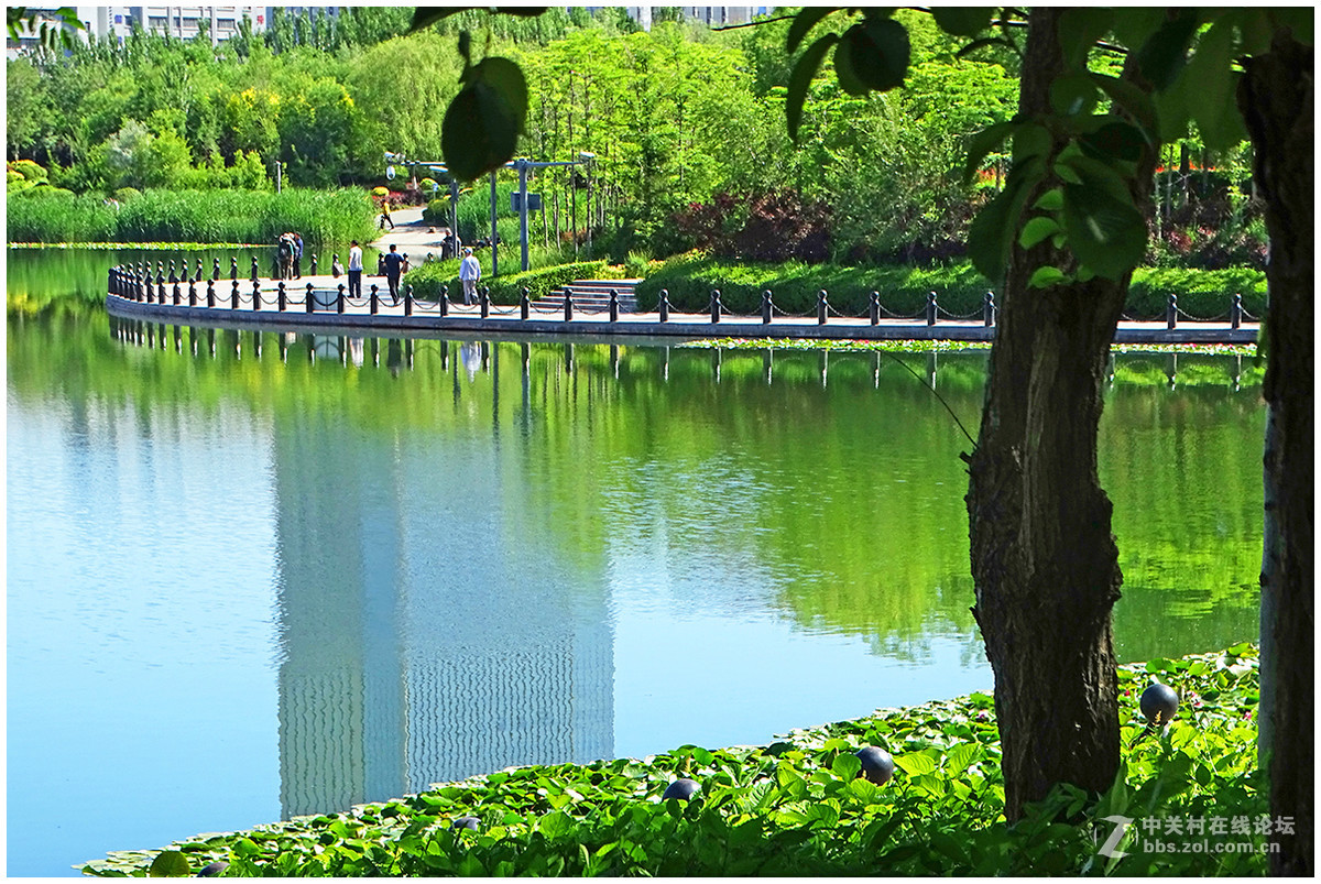 ｛南湖6月9｝——乌鲁木齐