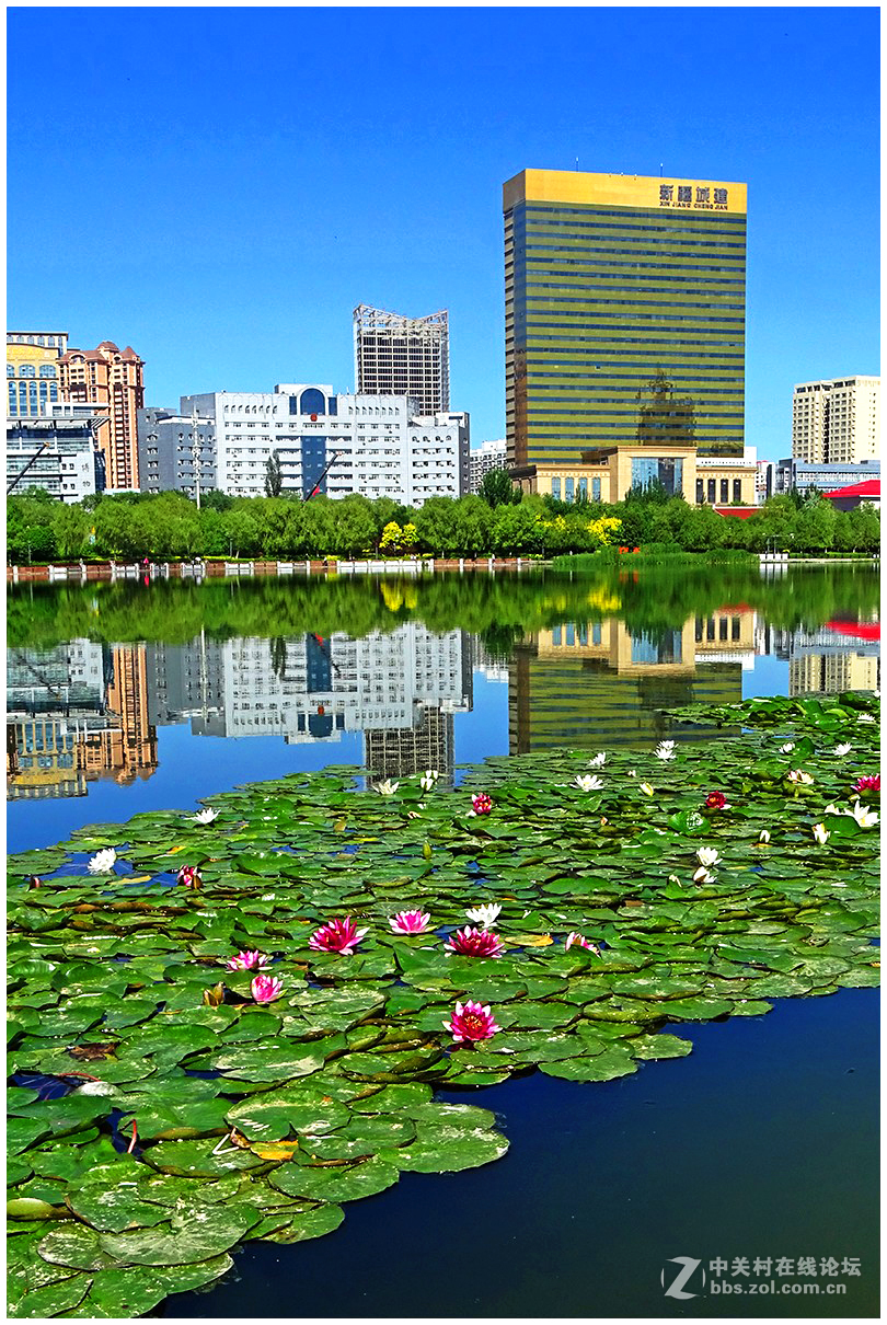 ｛南湖6月9｝——乌鲁木齐