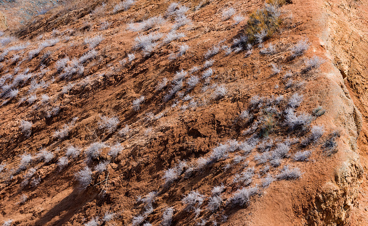 雄奇壮伟之红山大峡谷