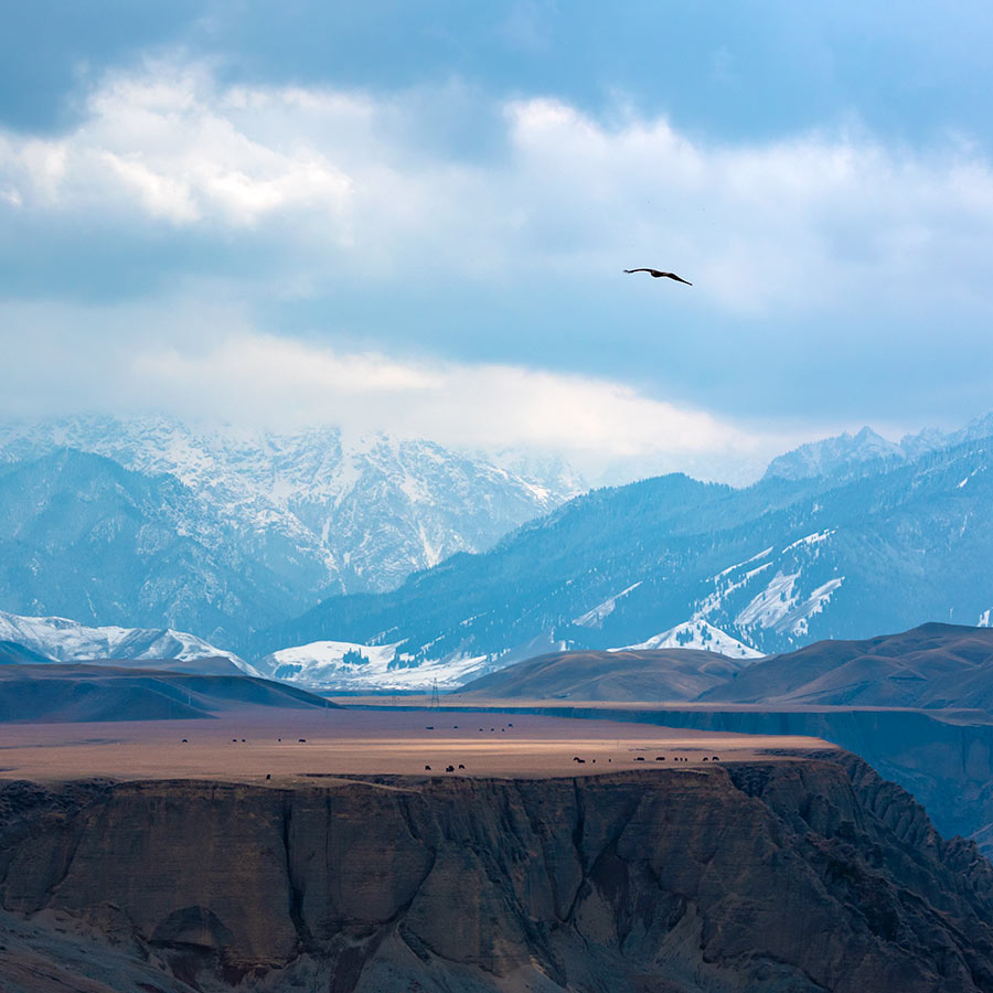 雄奇壮伟之红山大峡谷