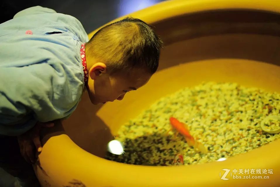 王城公园西门·~天之茗茶庄模特随拍！！！！！！