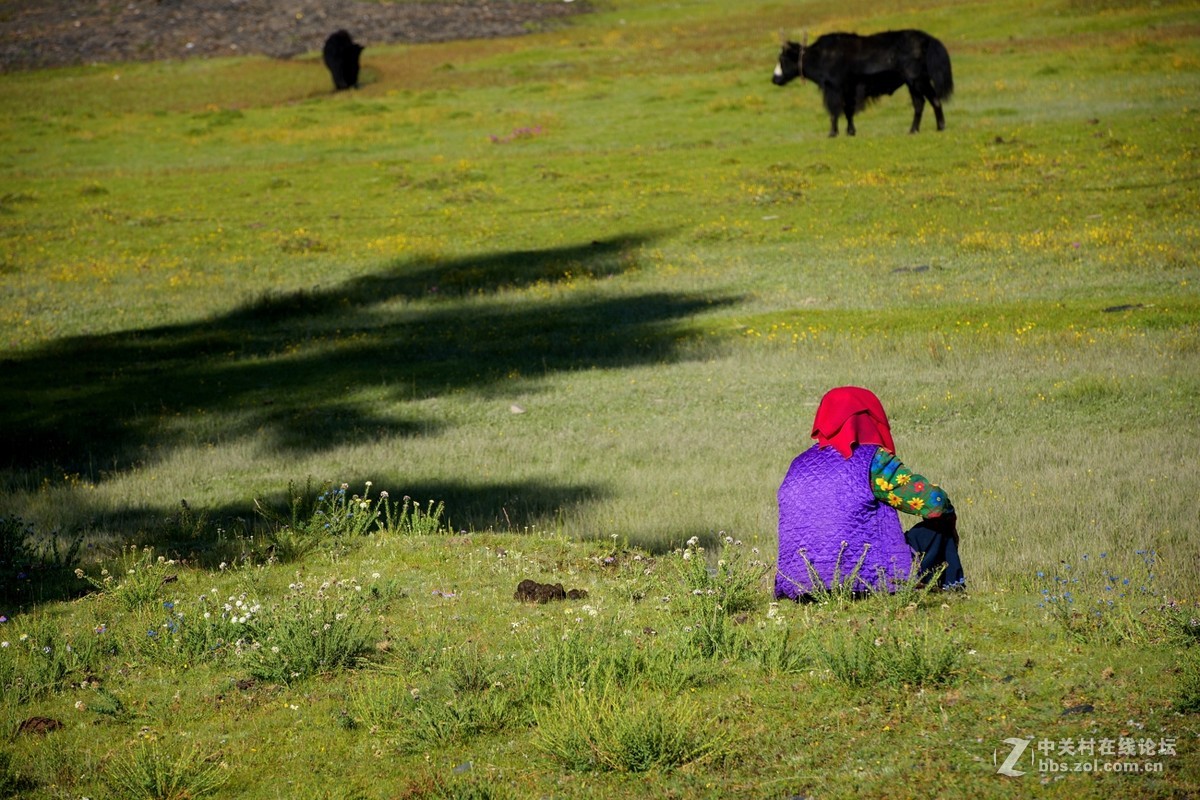 风光、民俗（60张）