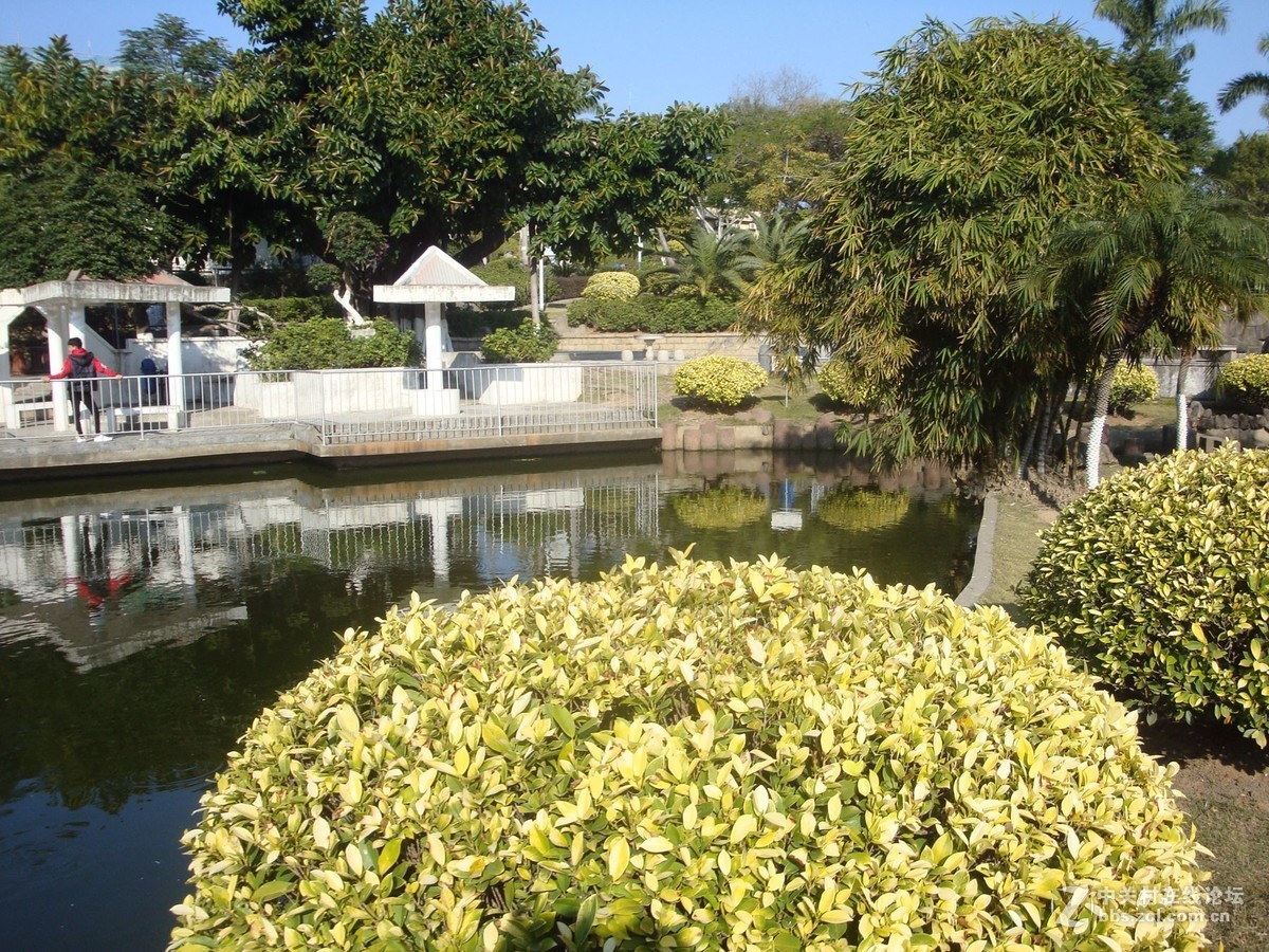 美丽的杏东公园自然风光摄影