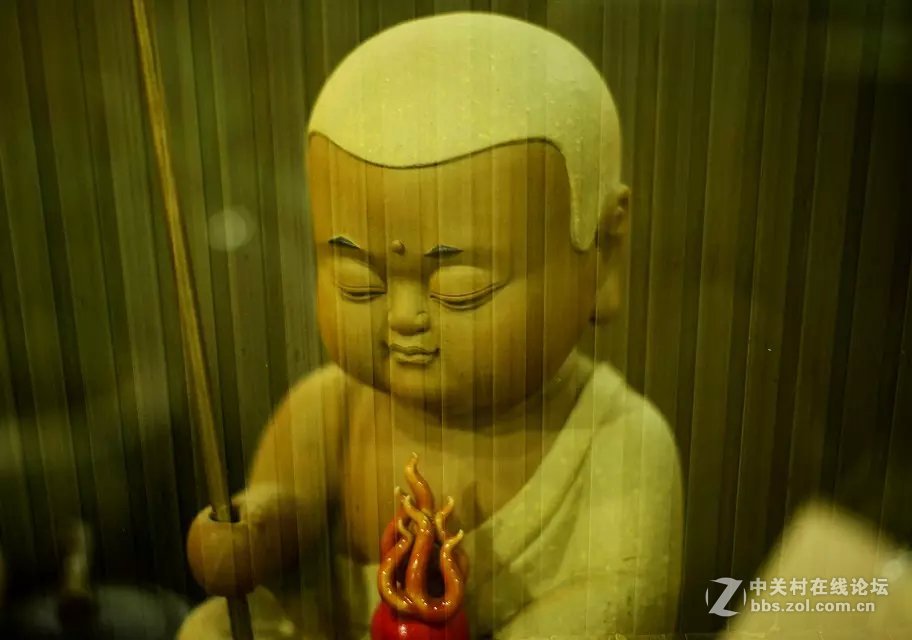 王城公园西门·~天之茗茶庄模特随拍！！！！！！