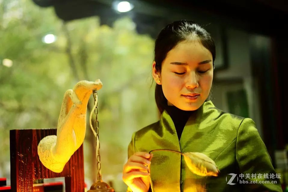 王城公园西门·~天之茗茶庄模特随拍！！！！！！