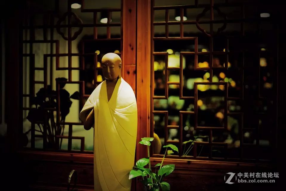 王城公园西门·~天之茗茶庄模特随拍！！！！！！