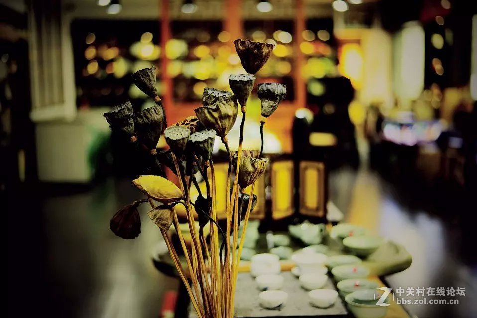 王城公园西门·~天之茗茶庄模特随拍！！！！！！