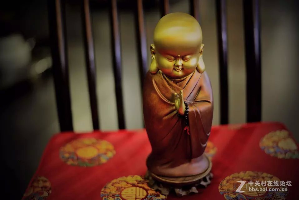 王城公园西门·~天之茗茶庄模特随拍！！！！！！