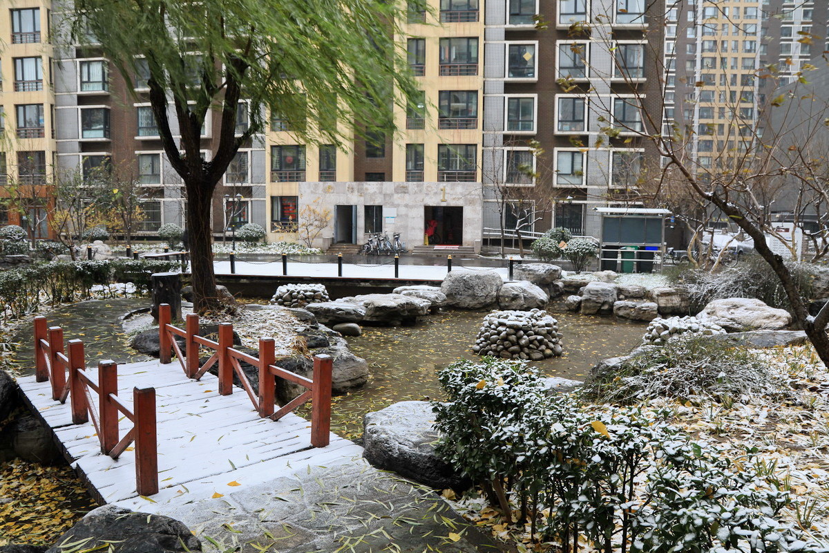 雪后家园