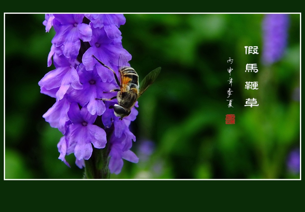 #版主坐堂#《佳能5D Mark III星空(中国)》2016年4季度优秀作品选