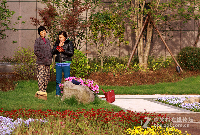 永诺85mm/f1.8，国产好头