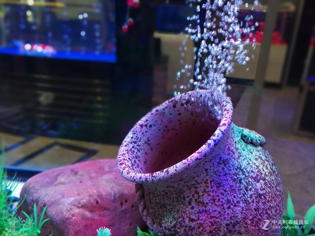 五光十色的水族箱 2