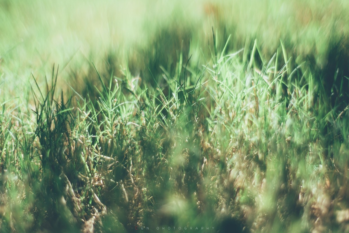 新手A6300配奥林巴斯手动镜头随拍一组