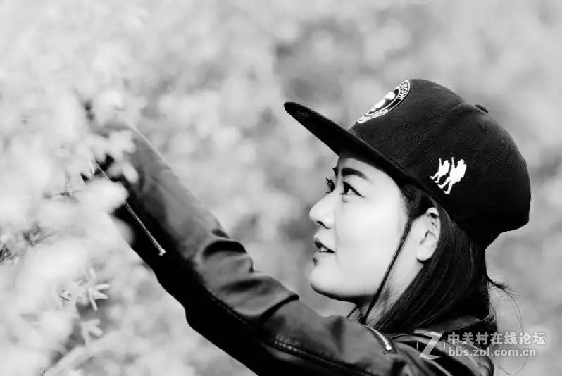 洛阳西雅图大酒店隋唐佳能专卖王城路店活动拍车模！！！！！！！！！！！！