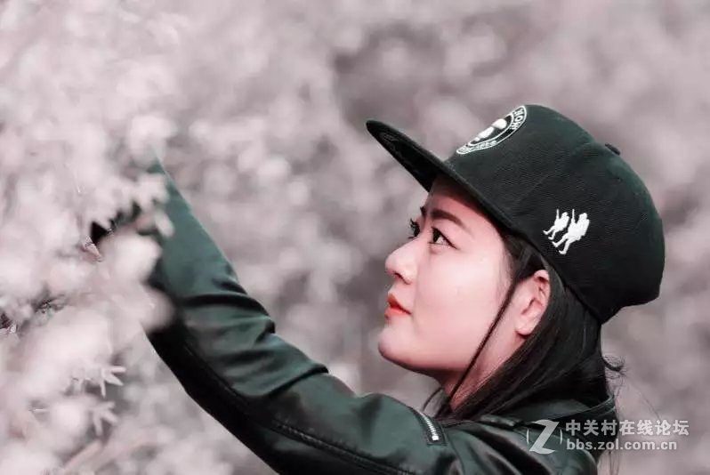 洛阳西雅图大酒店隋唐佳能专卖王城路店活动拍车模！！！！！！！！！！！！