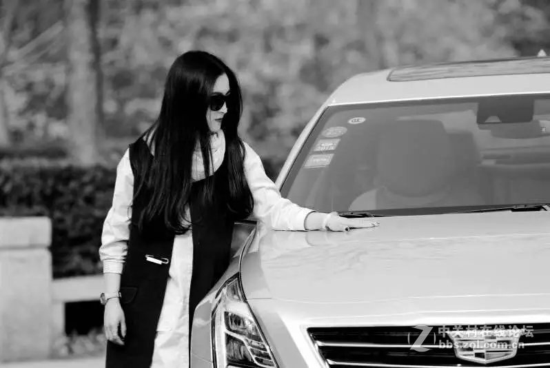 洛阳西雅图大酒店隋唐佳能专卖王城路店活动拍车模！！！！！！！！！！！！